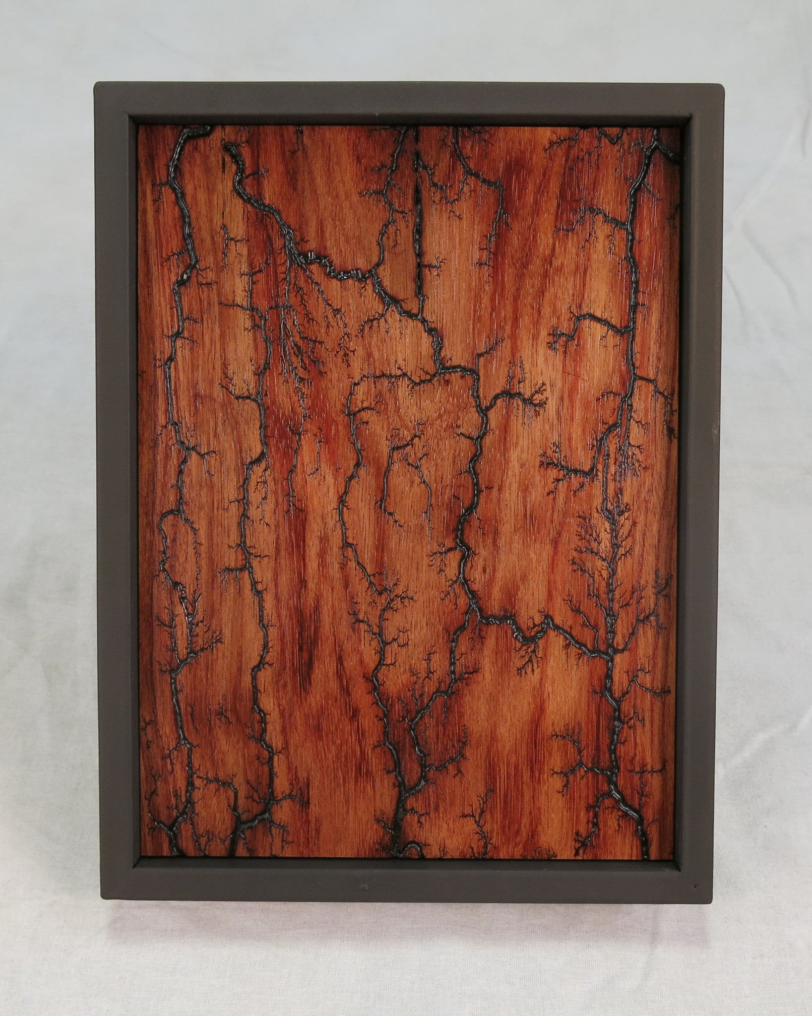 Bubinga #101 - Current ARTifacts Series - TerraSteel Furniture Design