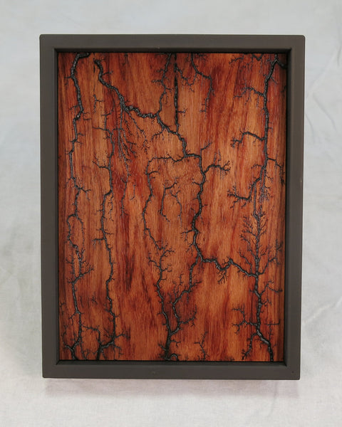 Bubinga #101 - Current ARTifacts Series